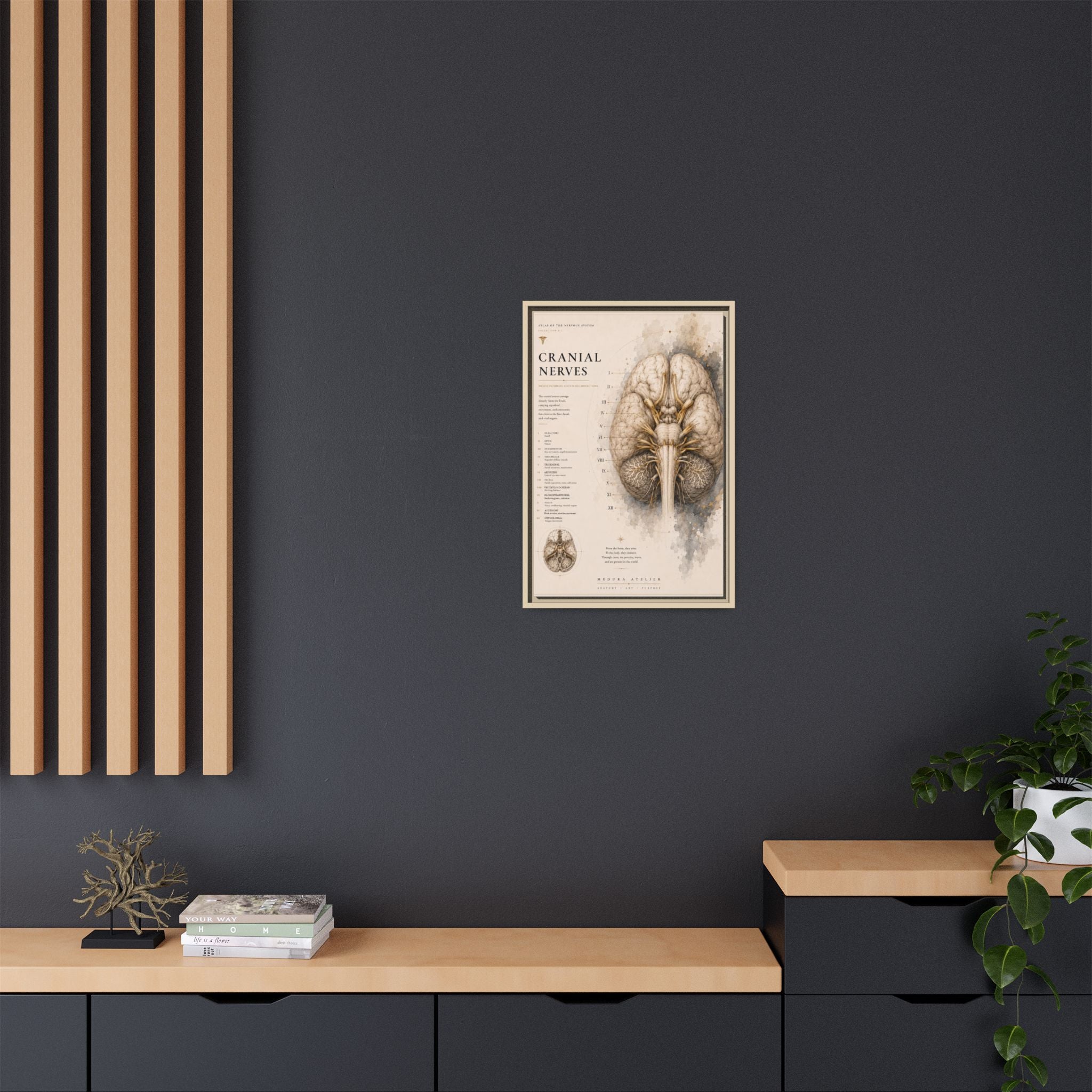 White Matter Brain Wall Art | Luxury Neuroscience Canvas Print | Museum-Inspired Fine Art