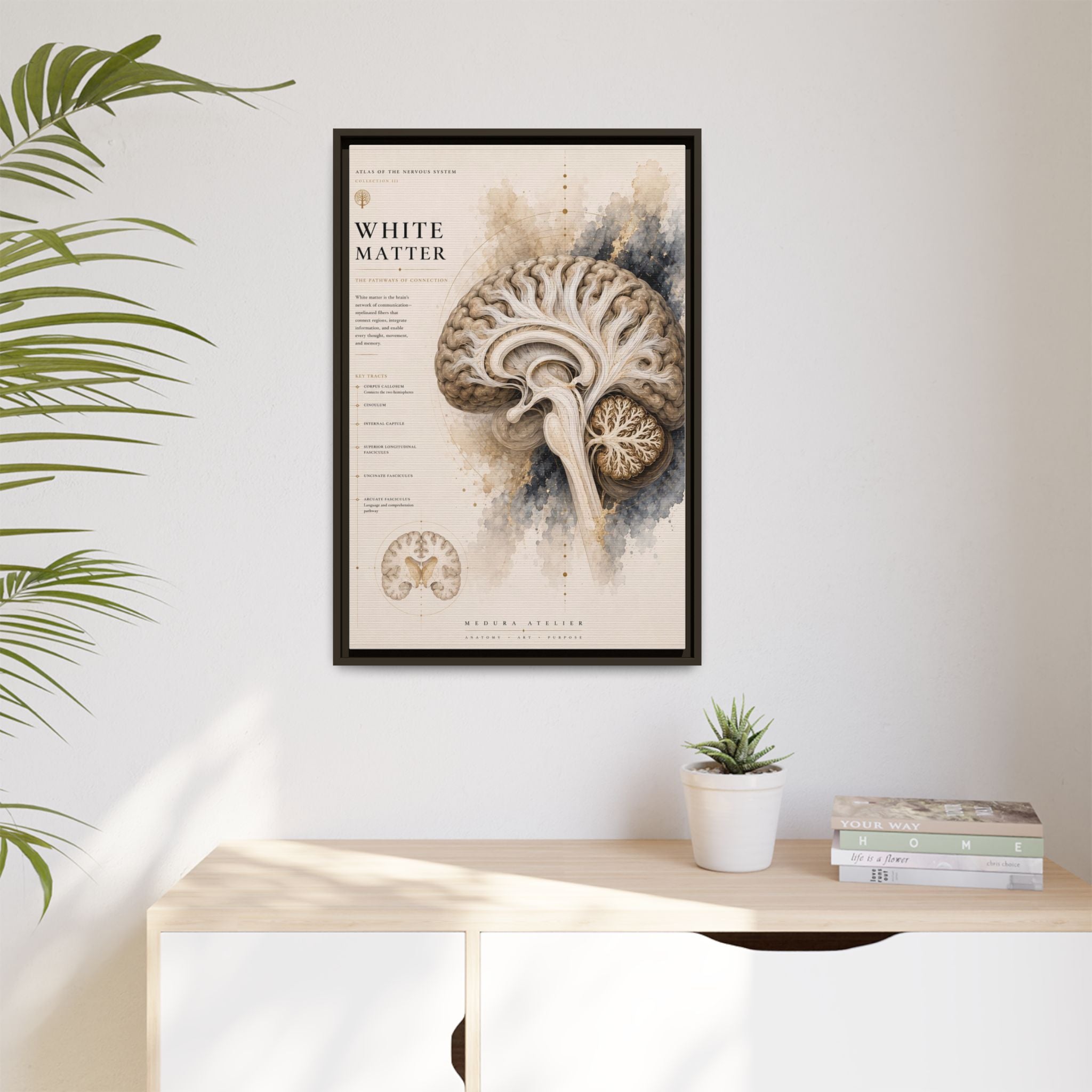 White Matter Brain Wall Art | Luxury Neuroscience Canvas Print | Museum-Inspired Fine Art