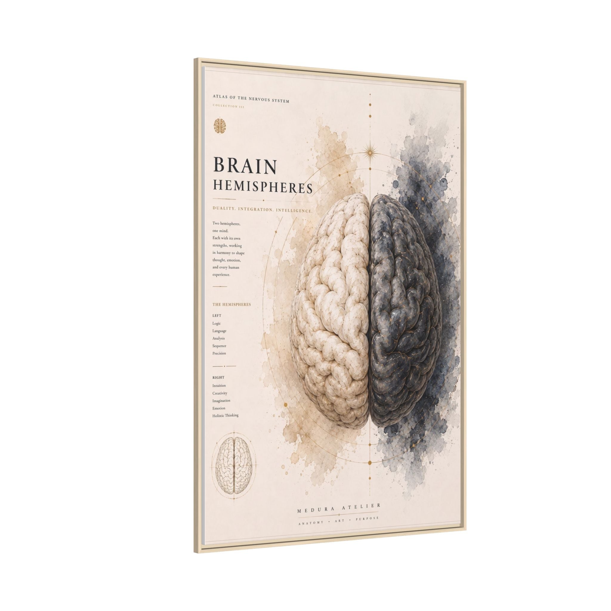 Brain Hemispheres Wall Art | Luxury Neuroscience Canvas Print | Museum-Inspired Fine Art