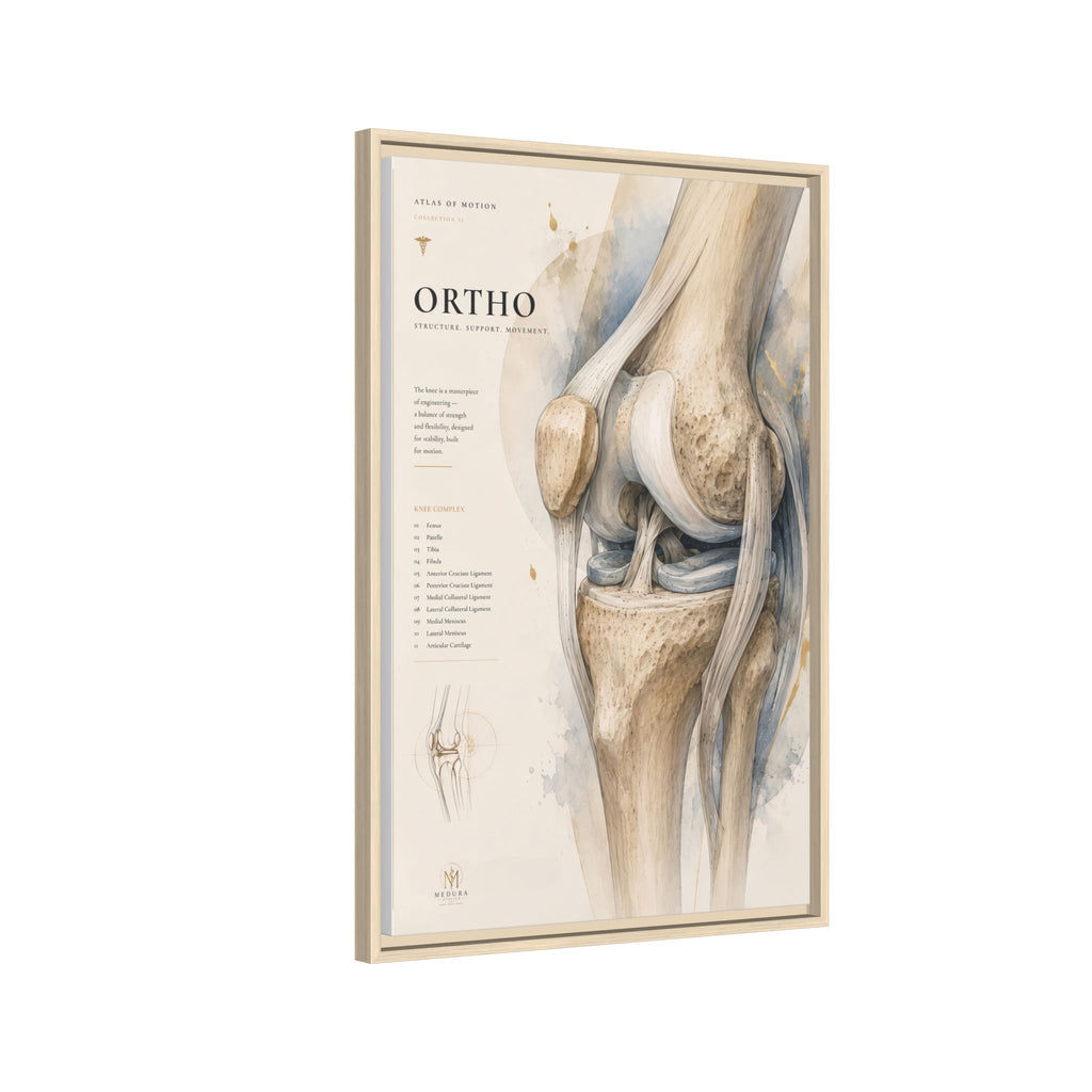 Orthopaedic Knee Anatomy Wall Art | Luxury Orthopedic Canvas Print | Museum-Inspired Fine Art