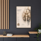 White Matter Brain Wall Art | Luxury Neuroscience Canvas Print | Museum-Inspired Fine Art