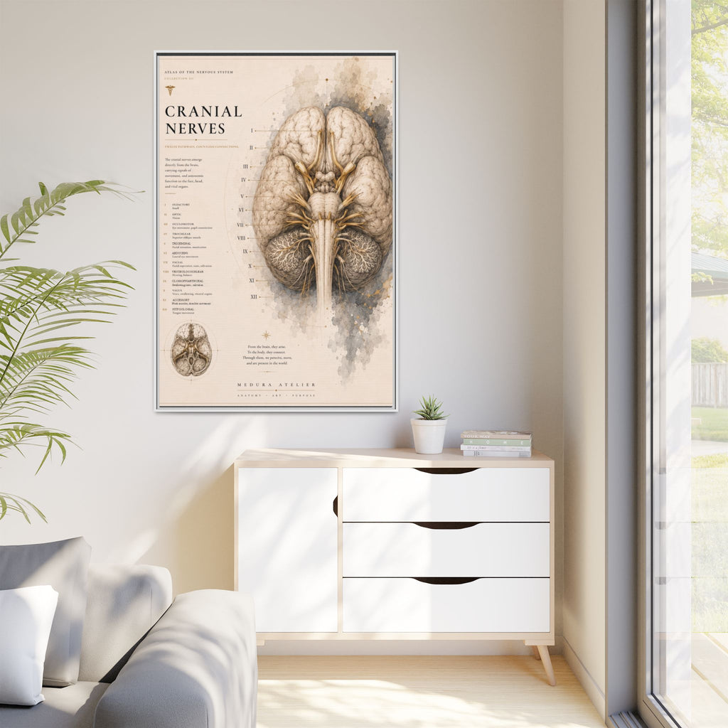 White Matter Brain Wall Art | Luxury Neuroscience Canvas Print | Museum-Inspired Fine Art