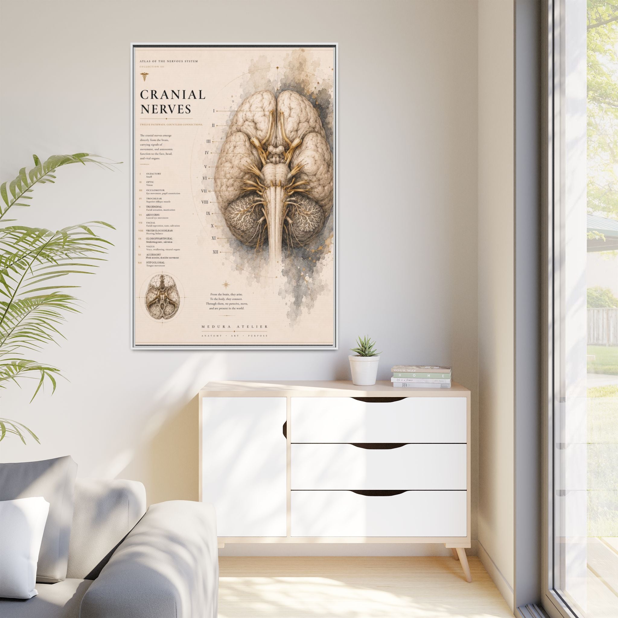 White Matter Brain Wall Art | Luxury Neuroscience Canvas Print | Museum-Inspired Fine Art