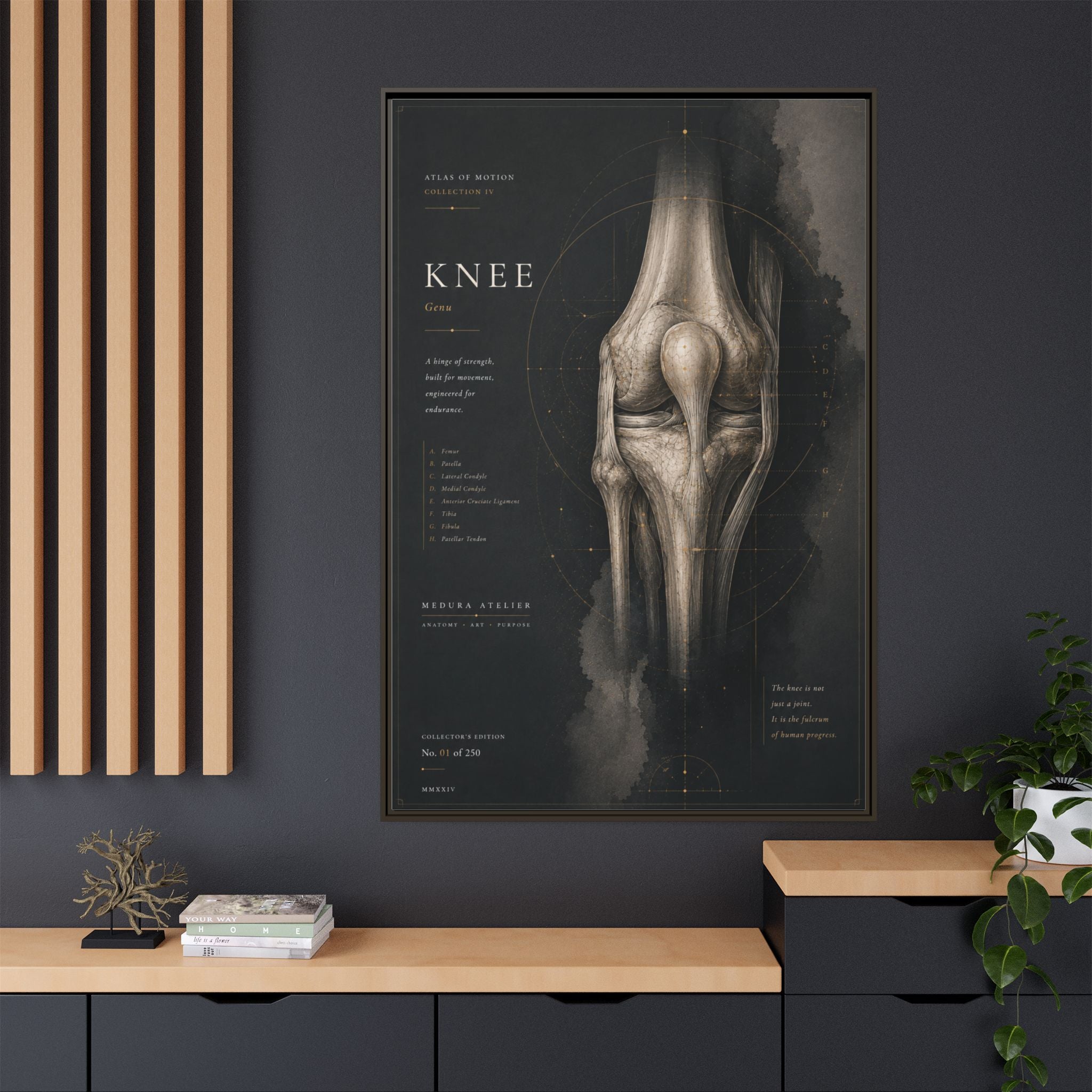 Atlas of Motion – Knee Wall Art | Luxury Orthopedic Canvas Print | Museum-Inspired Fine Art