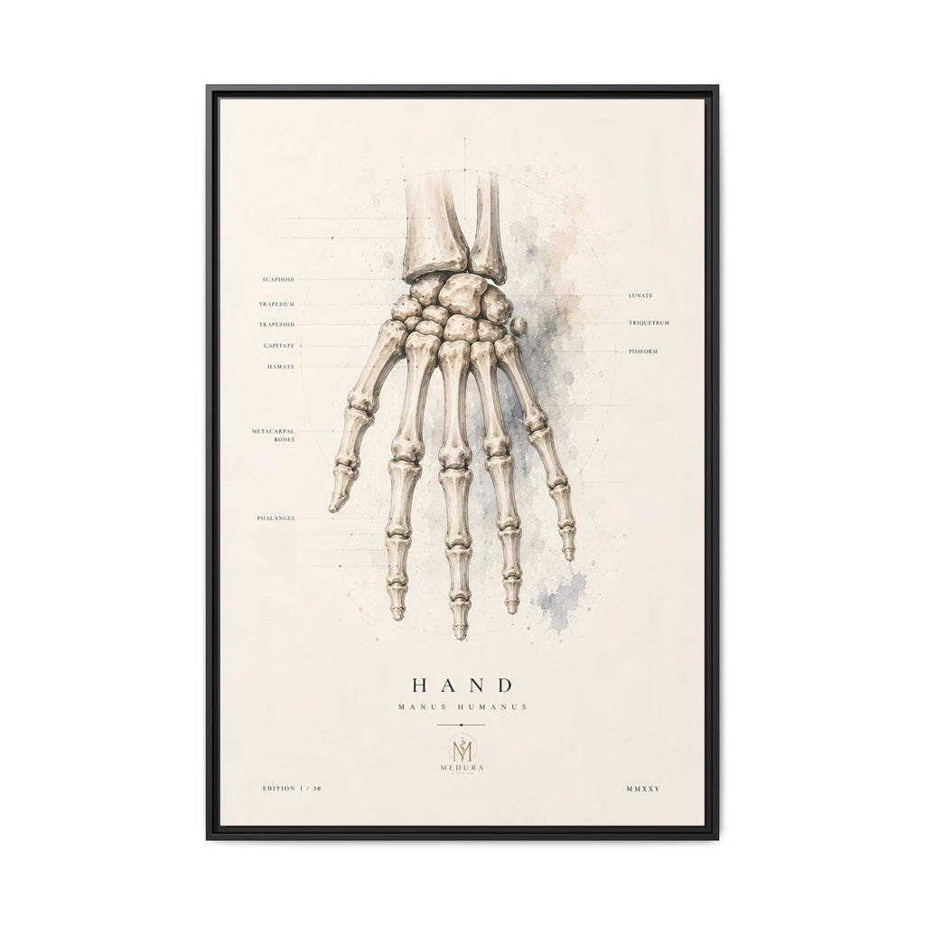 Anatomical Hand Skeleton Wall Art | Luxury Orthopaedic Canvas Print | Museum-Inspired Fine Art