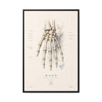 Anatomical Hand Skeleton Wall Art | Luxury Orthopaedic Canvas Print | Museum-Inspired Fine Art