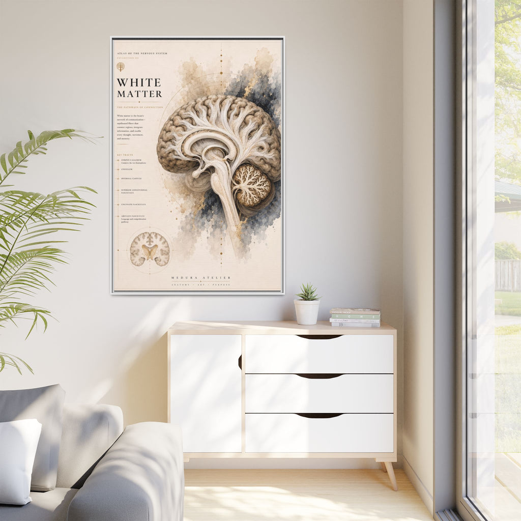 White Matter Brain Wall Art | Luxury Neuroscience Canvas Print | Museum-Inspired Fine Art
