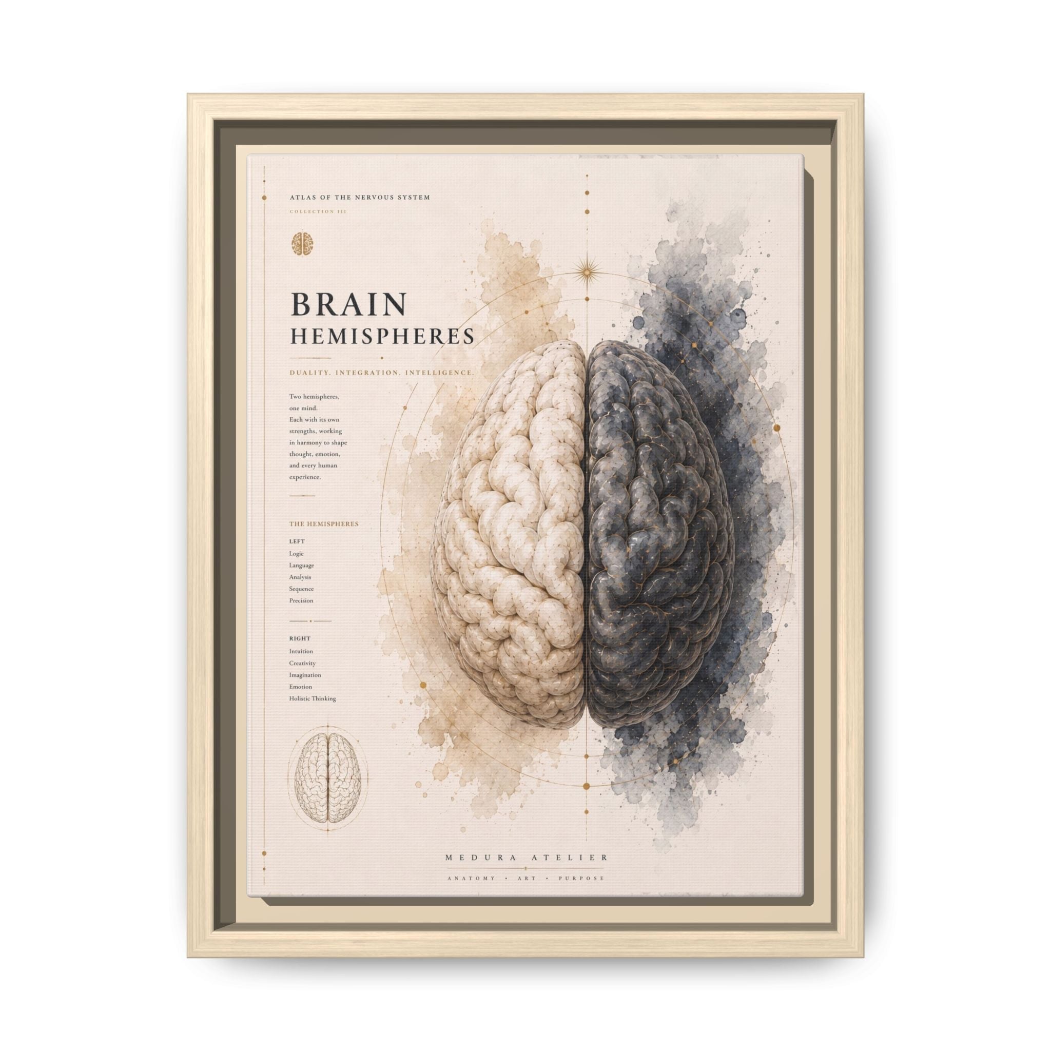 Brain Hemispheres Wall Art | Luxury Neuroscience Canvas Print | Museum-Inspired Fine Art