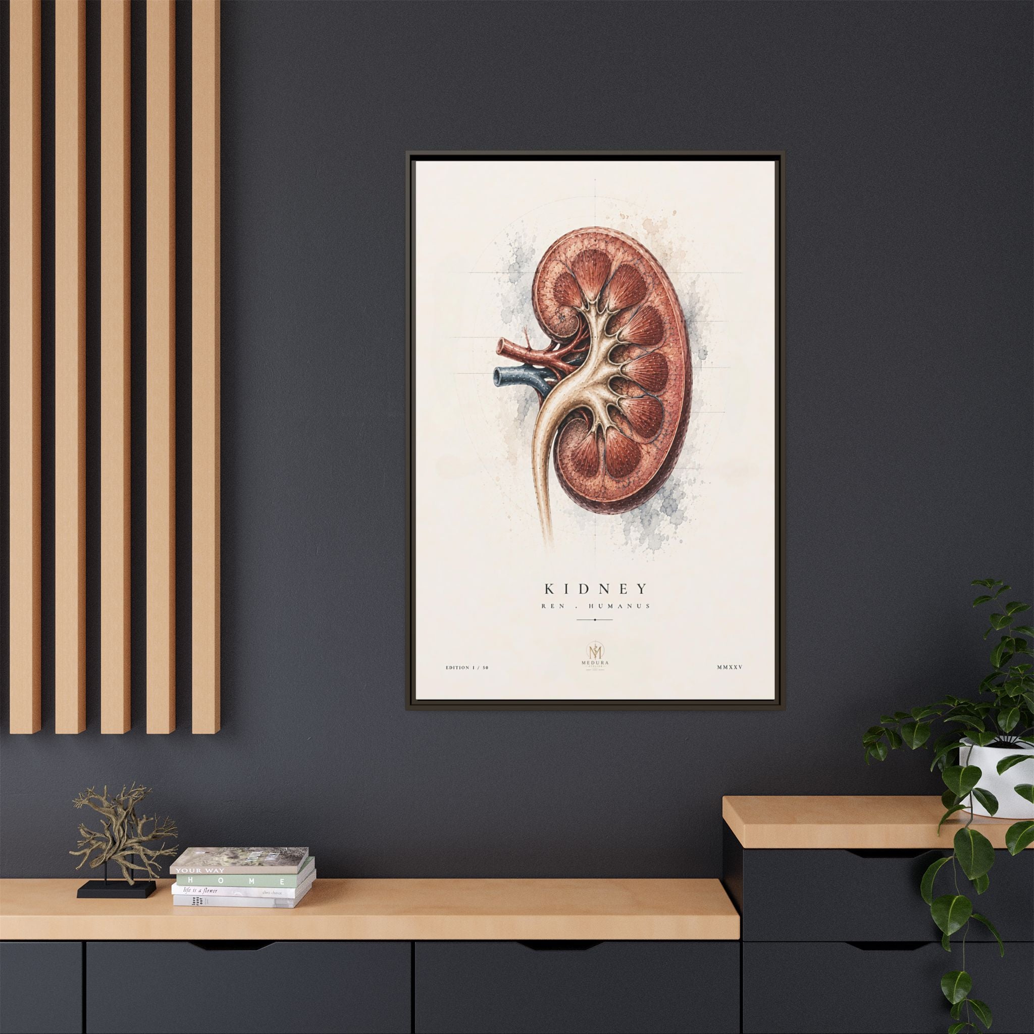 Anatomical Kidney Wall Art | Luxury Nephrology Canvas Print | Museum-Inspired Fine Art