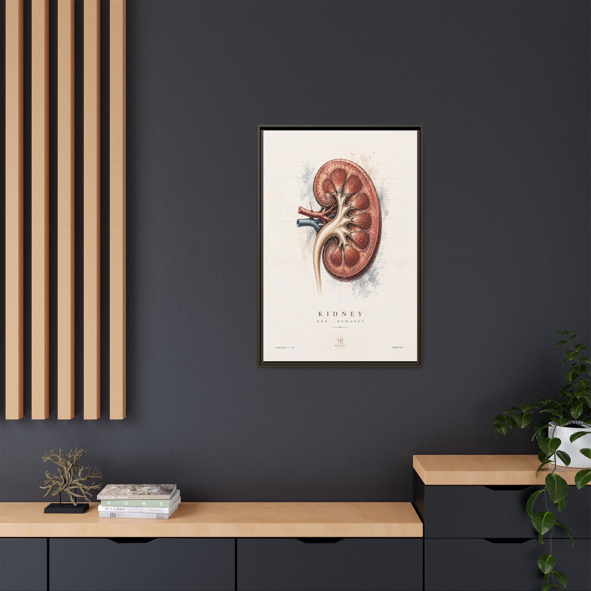 Anatomical Kidney Wall Art | Luxury Nephrology Canvas Print | Museum-Inspired Fine Art