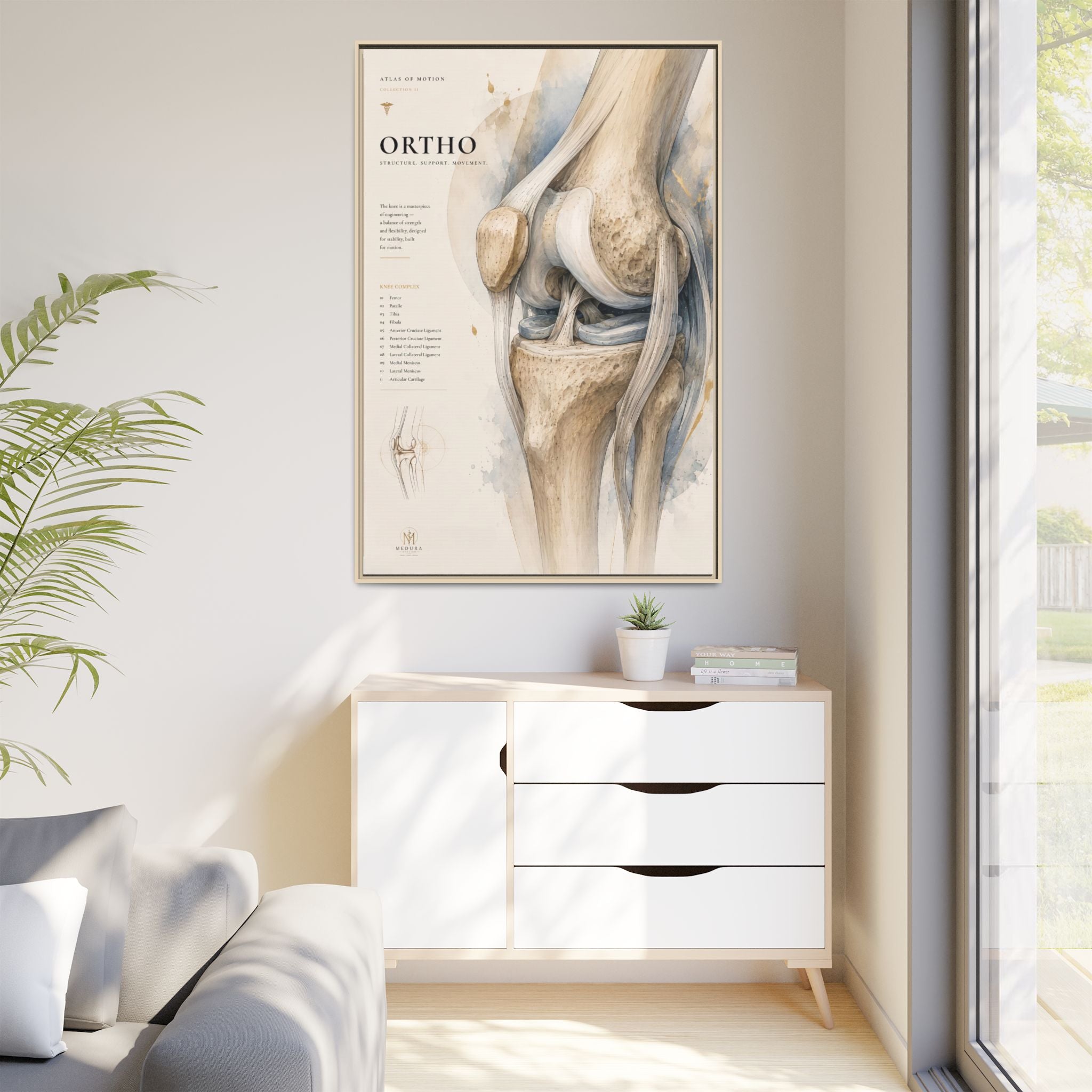 Orthopaedic Knee Anatomy Wall Art | Luxury Orthopedic Canvas Print | Museum-Inspired Fine Art