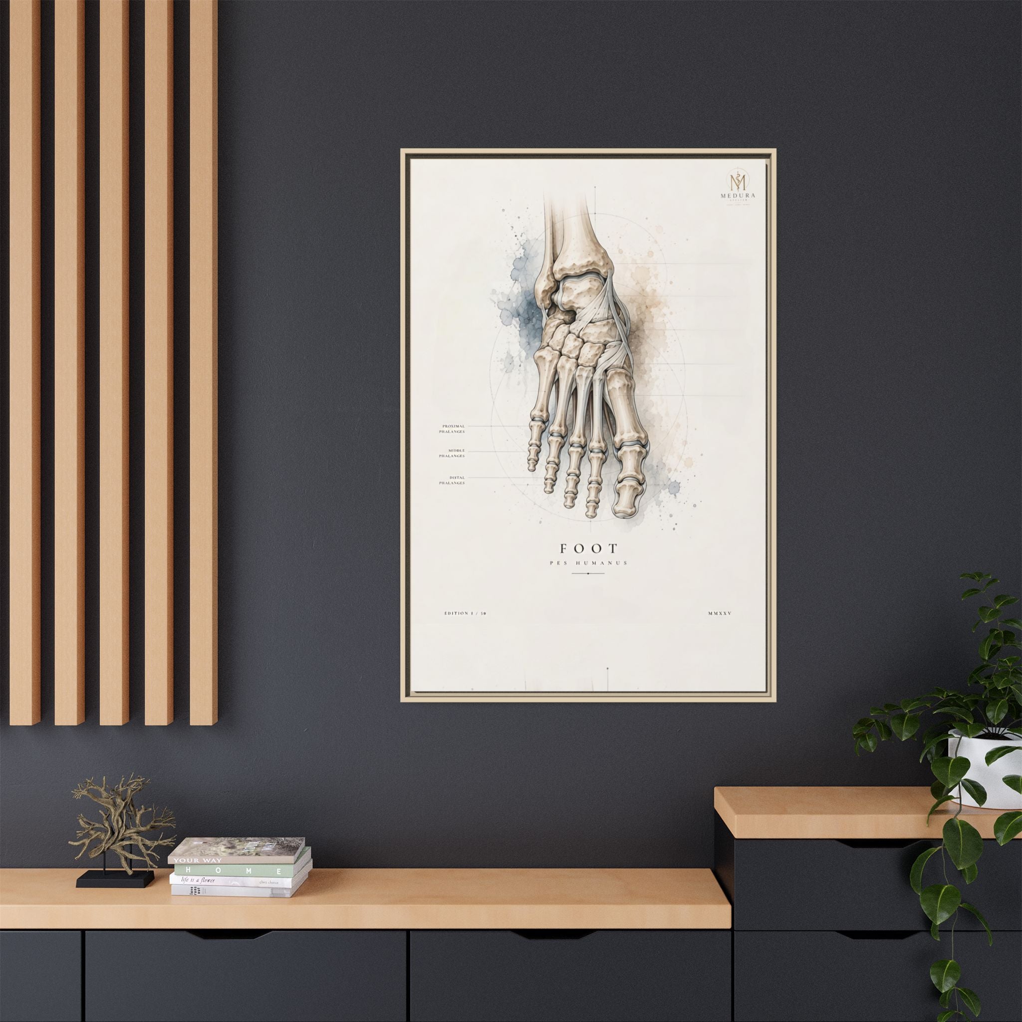Anatomical Foot Skeleton Wall Art | Luxury Podiatry Canvas Print | Museum-Inspired Fine Art