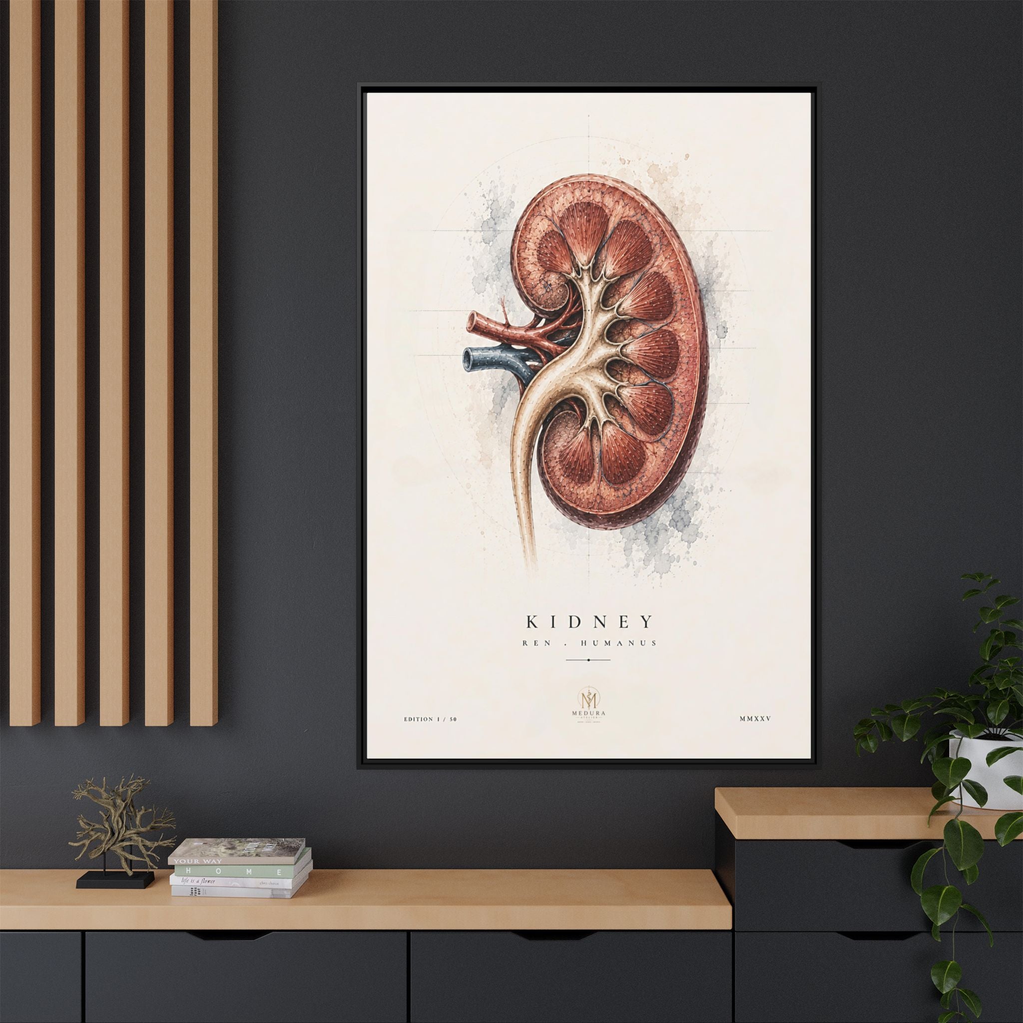 Anatomical Kidney Wall Art | Luxury Nephrology Canvas Print | Museum-Inspired Fine Art