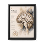 White Matter Brain Wall Art | Luxury Neuroscience Canvas Print | Museum-Inspired Fine Art