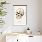 Anatomical Skull Wall Art | Luxury Medical Canvas Print | Museum-Inspired Fine Art