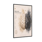 Brain Hemispheres Wall Art | Luxury Neuroscience Canvas Print | Museum-Inspired Fine Art