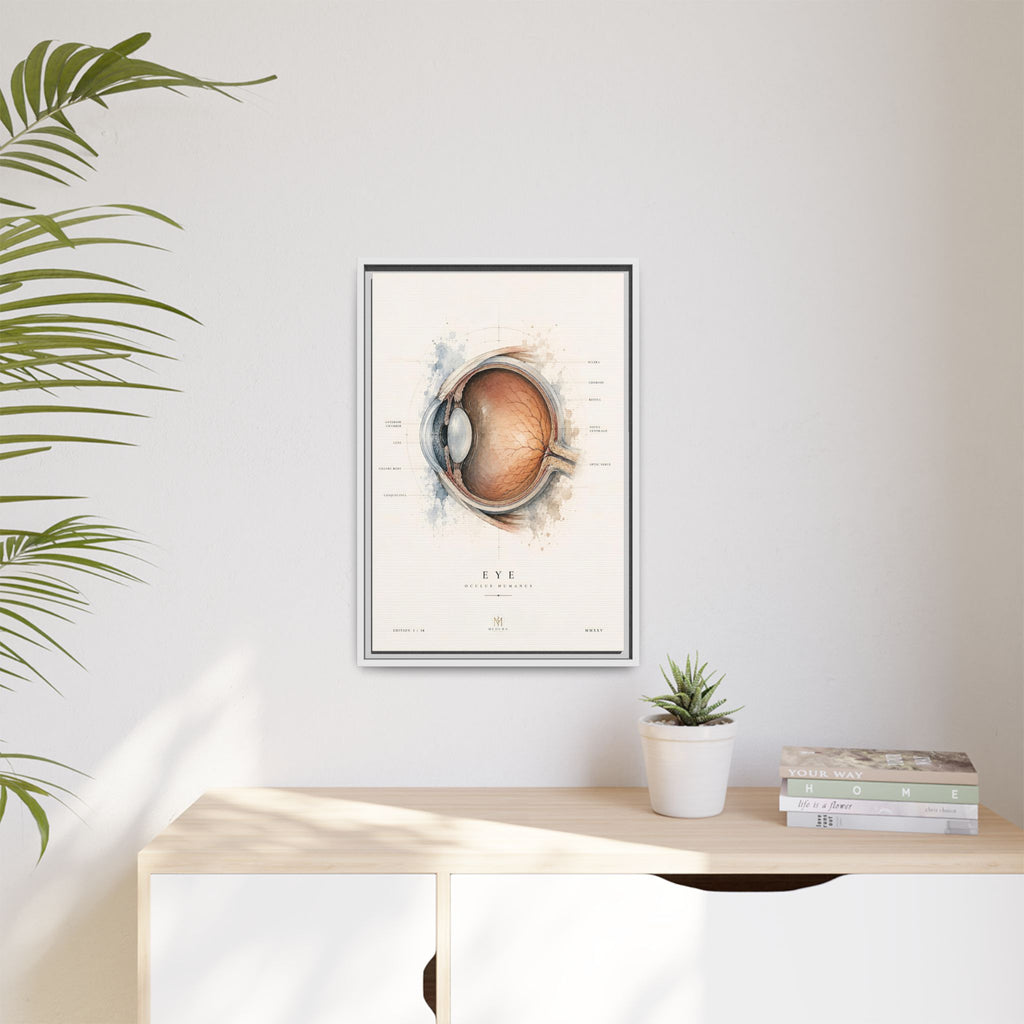 Anatomical Eye Canvas Print | Luxury Ophthalmology Wall Art | Museum-Inspired Medical Decor