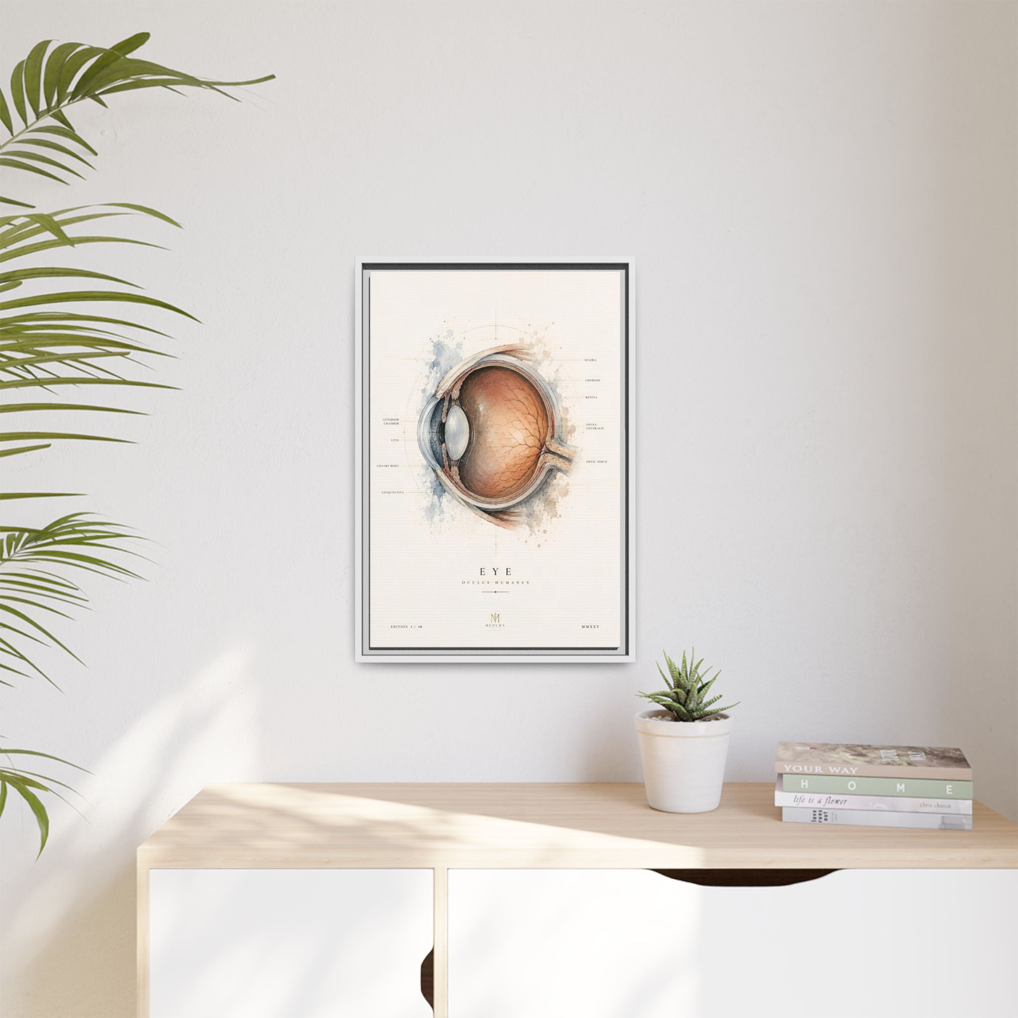 Anatomical Eye Canvas Print | Luxury Ophthalmology Wall Art | Museum-Inspired Medical Decor