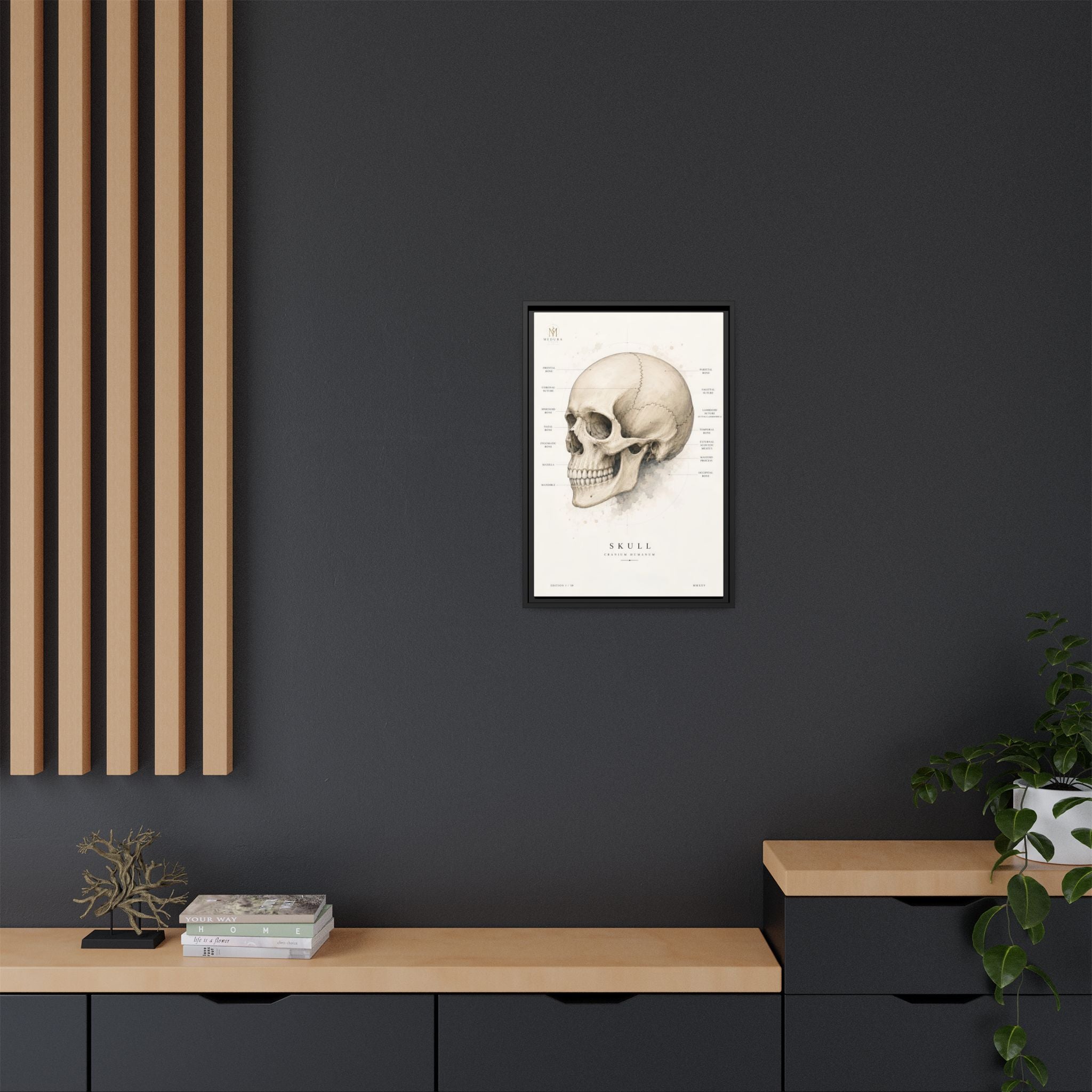 Anatomical Skull Wall Art | Luxury Medical Canvas Print | Museum-Inspired Fine Art