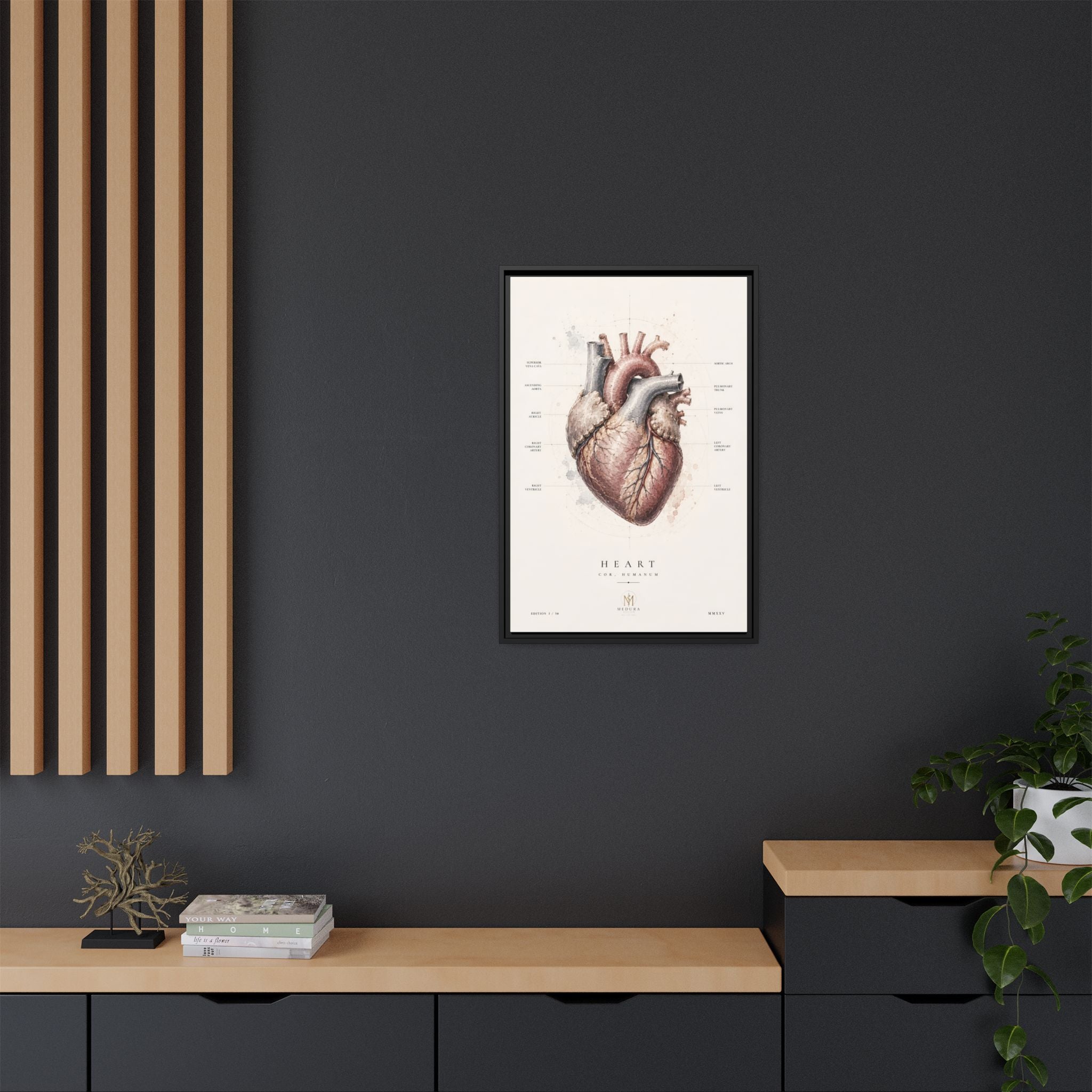 Anatomical Heart Wall Art | Luxury Medical Canvas Print | Museum-Inspired Fine Art