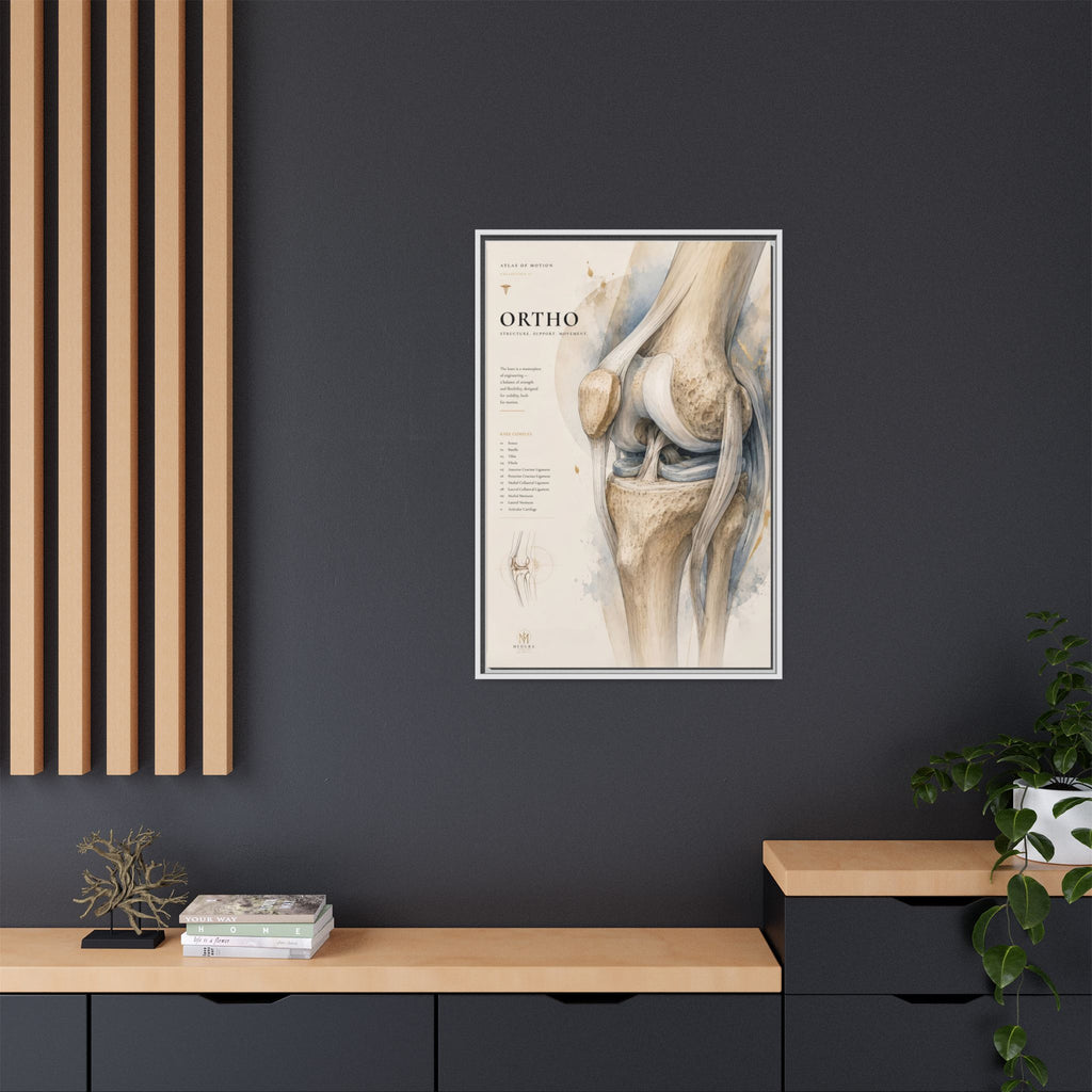 Orthopaedic Knee Anatomy Wall Art | Luxury Orthopedic Canvas Print | Museum-Inspired Fine Art
