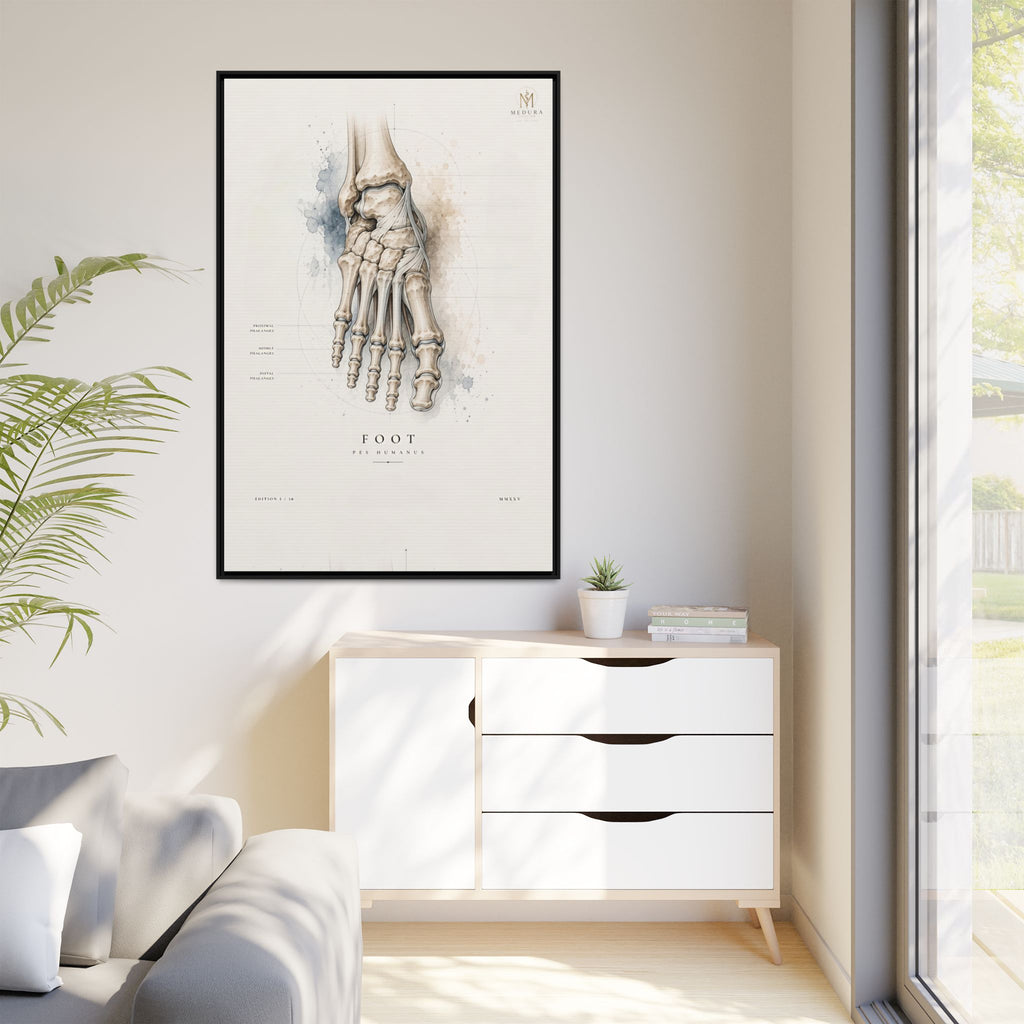 Anatomical Foot Skeleton Wall Art | Luxury Podiatry Canvas Print | Museum-Inspired Fine Art