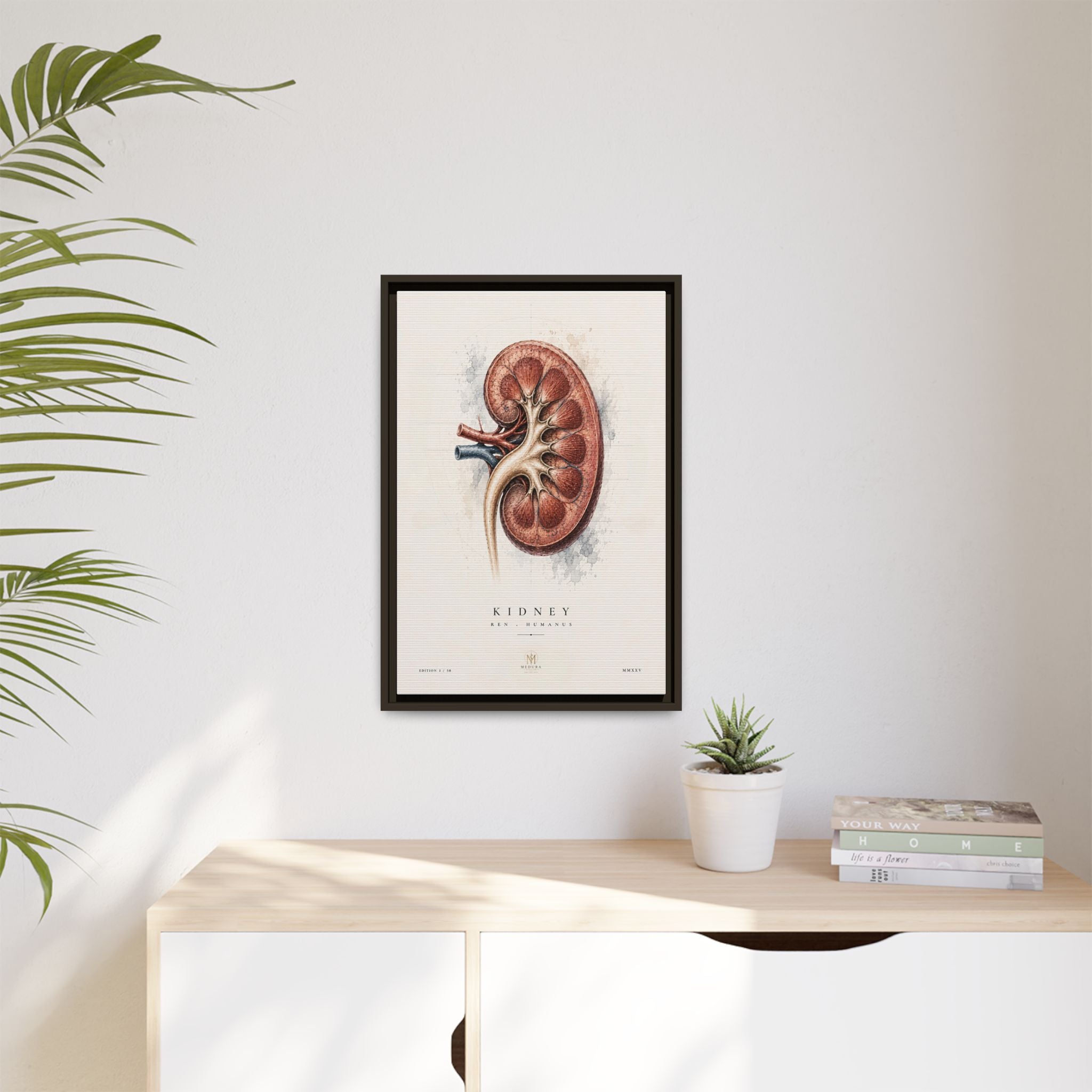 Anatomical Kidney Wall Art | Luxury Nephrology Canvas Print | Museum-Inspired Fine Art