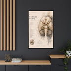 White Matter Brain Wall Art | Luxury Neuroscience Canvas Print | Museum-Inspired Fine Art