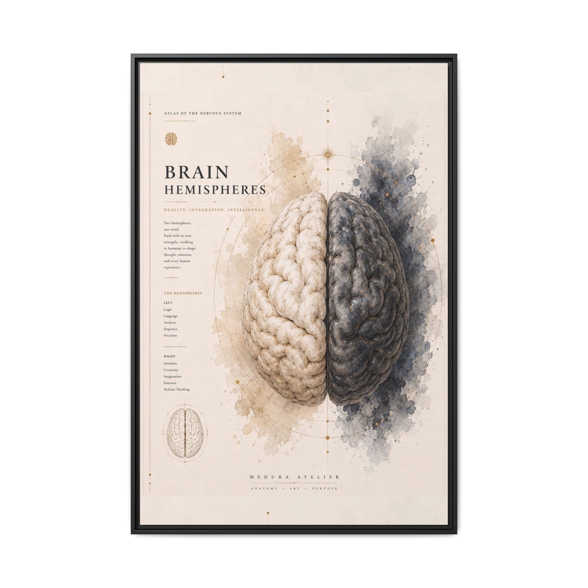 Brain Hemispheres Wall Art | Luxury Neuroscience Canvas Print | Museum-Inspired Fine Art