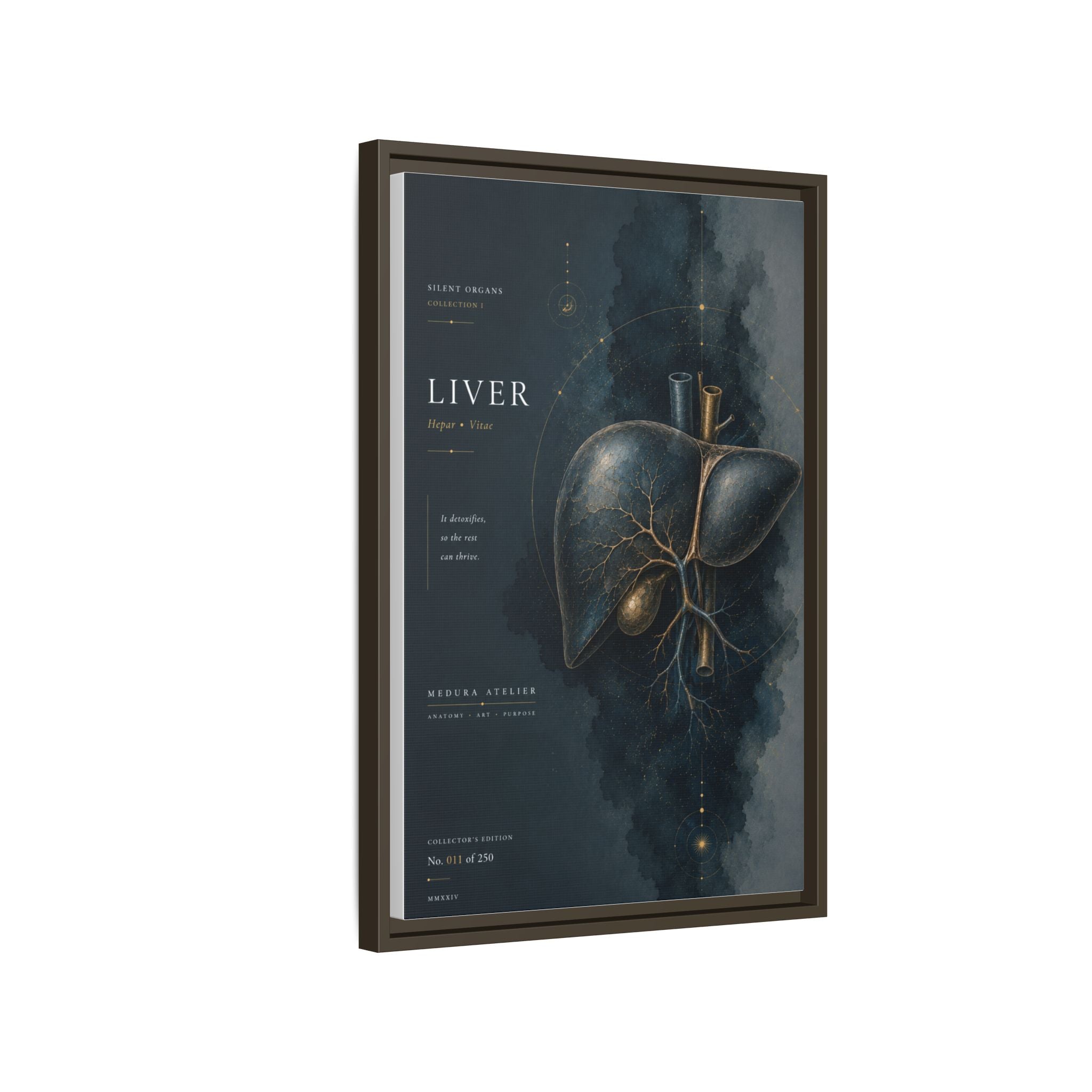 Silent Organs – Liver Wall Art | Luxury Anatomical Canvas Print | Museum-Inspired Fine Art