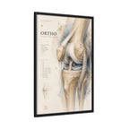 Orthopaedic Knee Anatomy Wall Art | Luxury Orthopedic Canvas Print | Museum-Inspired Fine Art