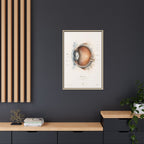Anatomical Eye Canvas Print | Luxury Ophthalmology Wall Art | Museum-Inspired Medical Decor