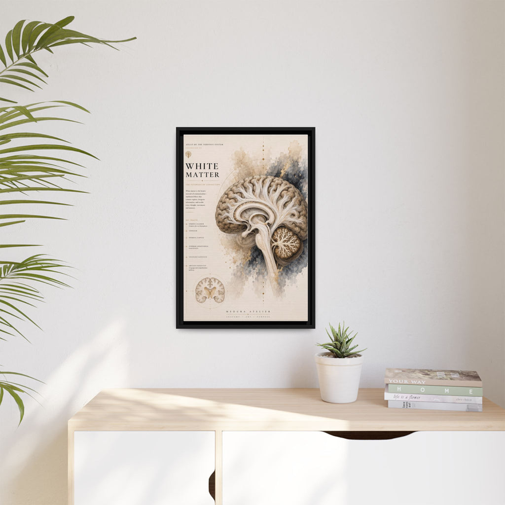 White Matter Brain Wall Art | Luxury Neuroscience Canvas Print | Museum-Inspired Fine Art