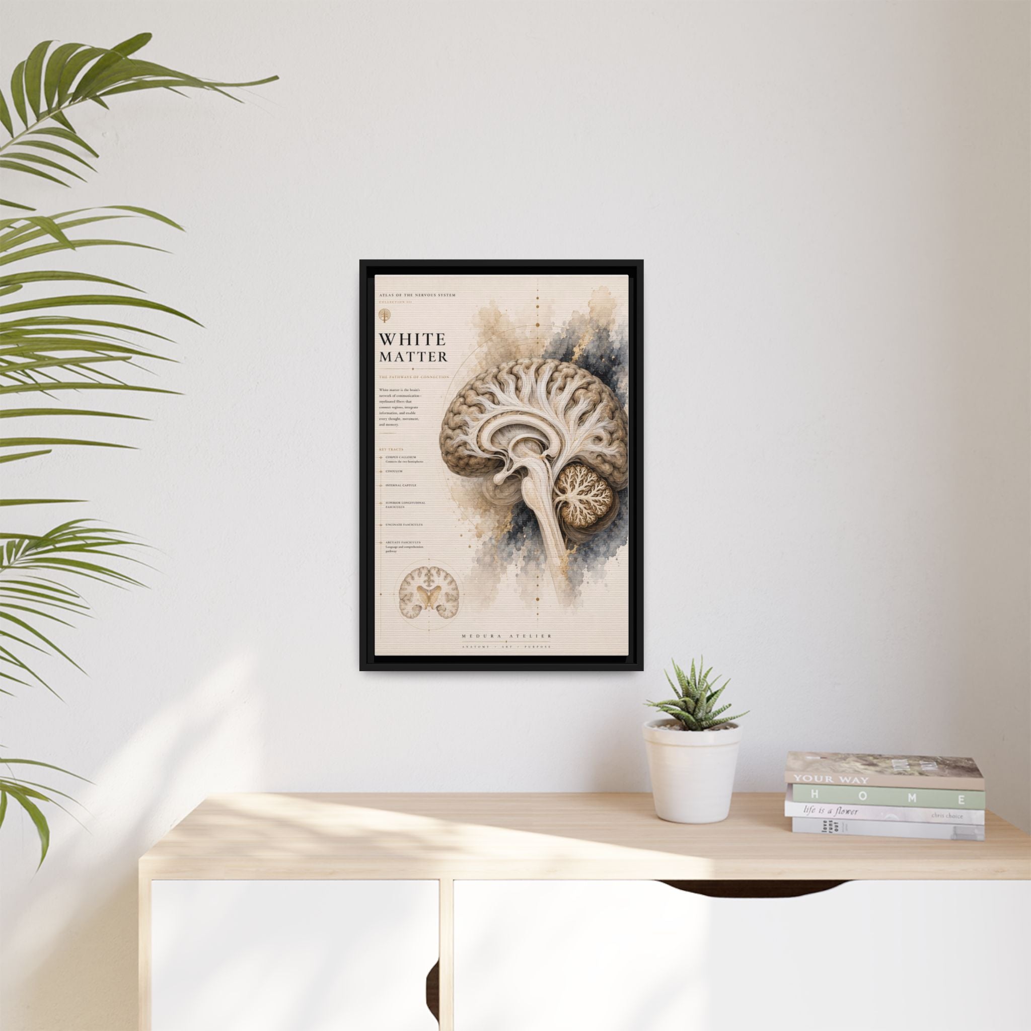White Matter Brain Wall Art | Luxury Neuroscience Canvas Print | Museum-Inspired Fine Art