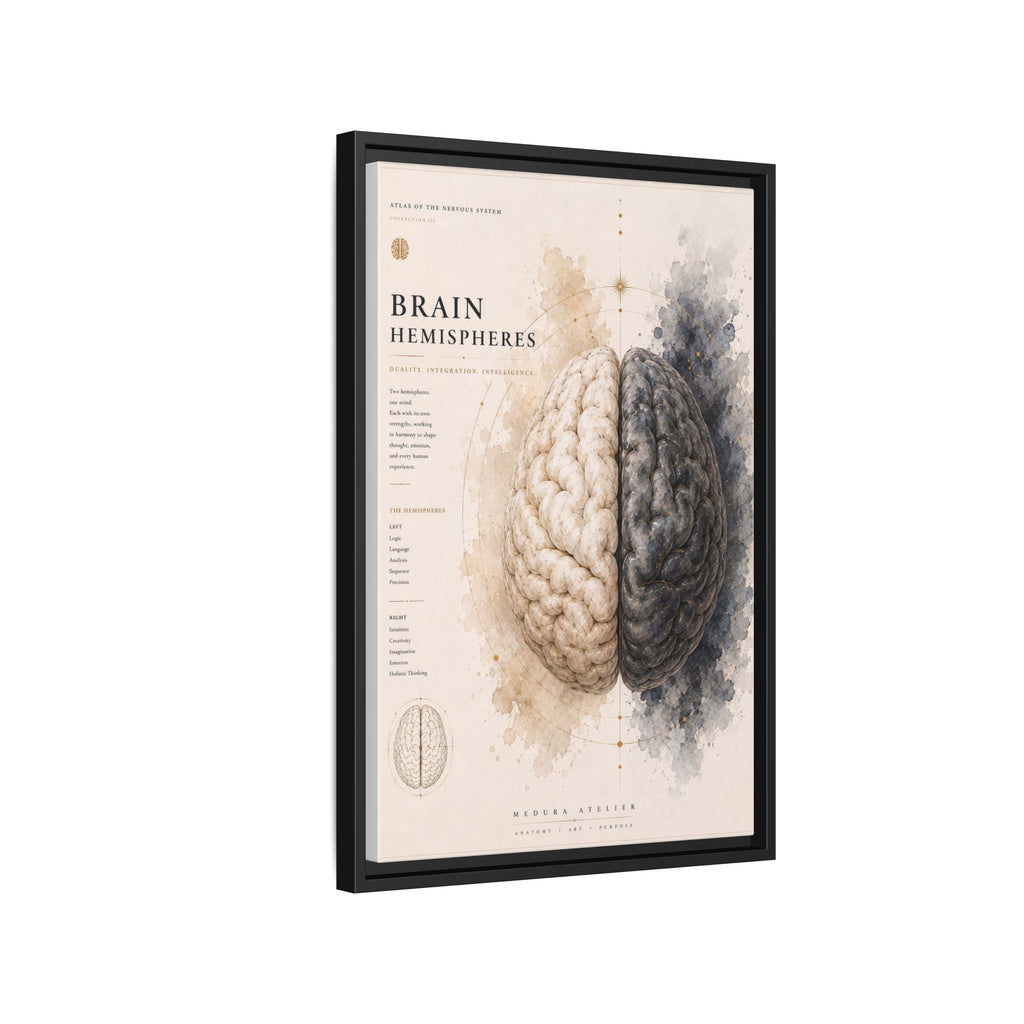 Brain Hemispheres Wall Art | Luxury Neuroscience Canvas Print | Museum-Inspired Fine Art