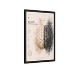 Brain Hemispheres Wall Art | Luxury Neuroscience Canvas Print | Museum-Inspired Fine Art