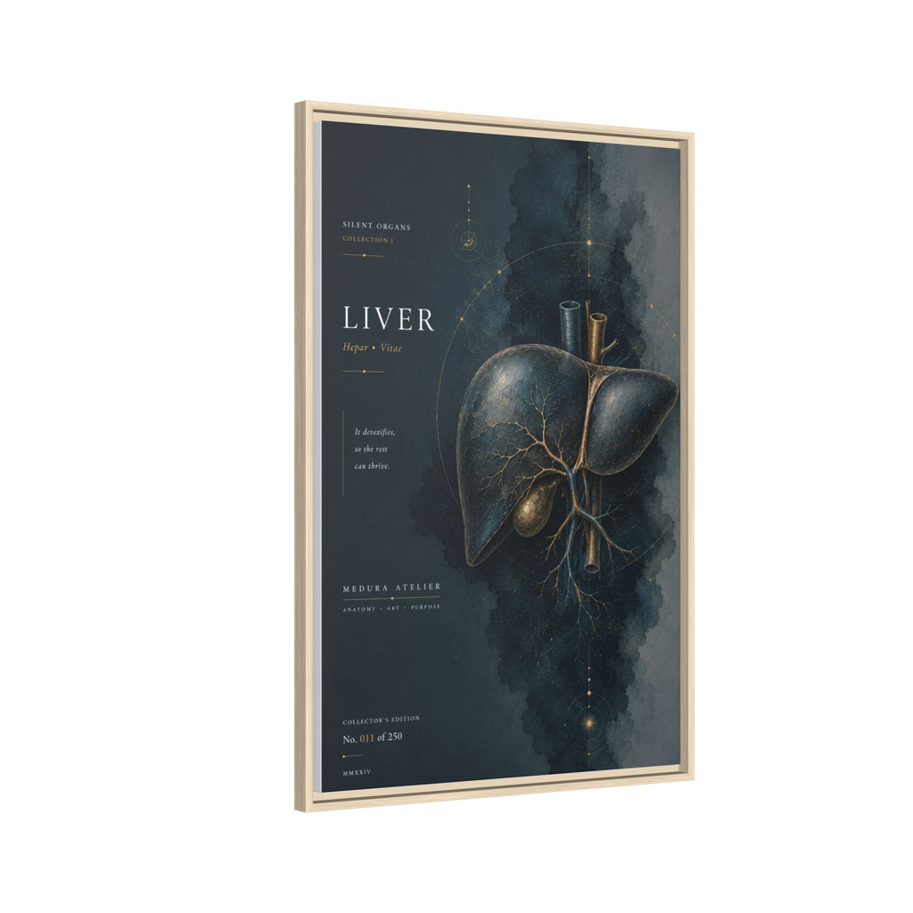 Silent Organs – Liver Wall Art | Luxury Anatomical Canvas Print | Museum-Inspired Fine Art