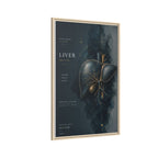 Silent Organs – Liver Wall Art | Luxury Anatomical Canvas Print | Museum-Inspired Fine Art