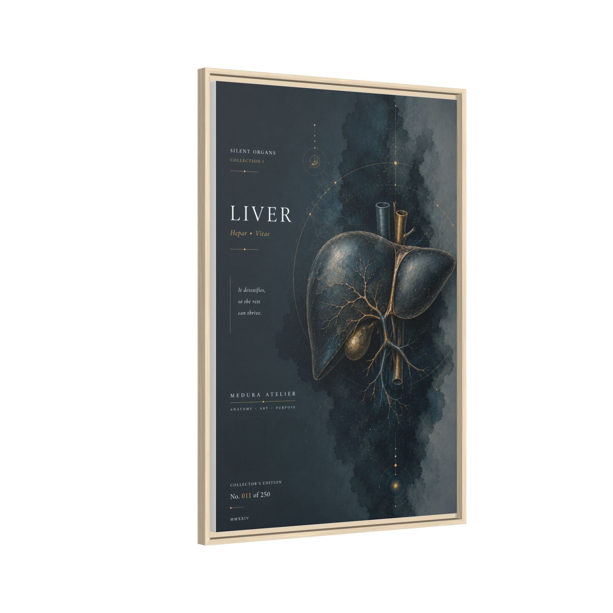 Silent Organs – Liver Wall Art | Luxury Anatomical Canvas Print | Museum-Inspired Fine Art