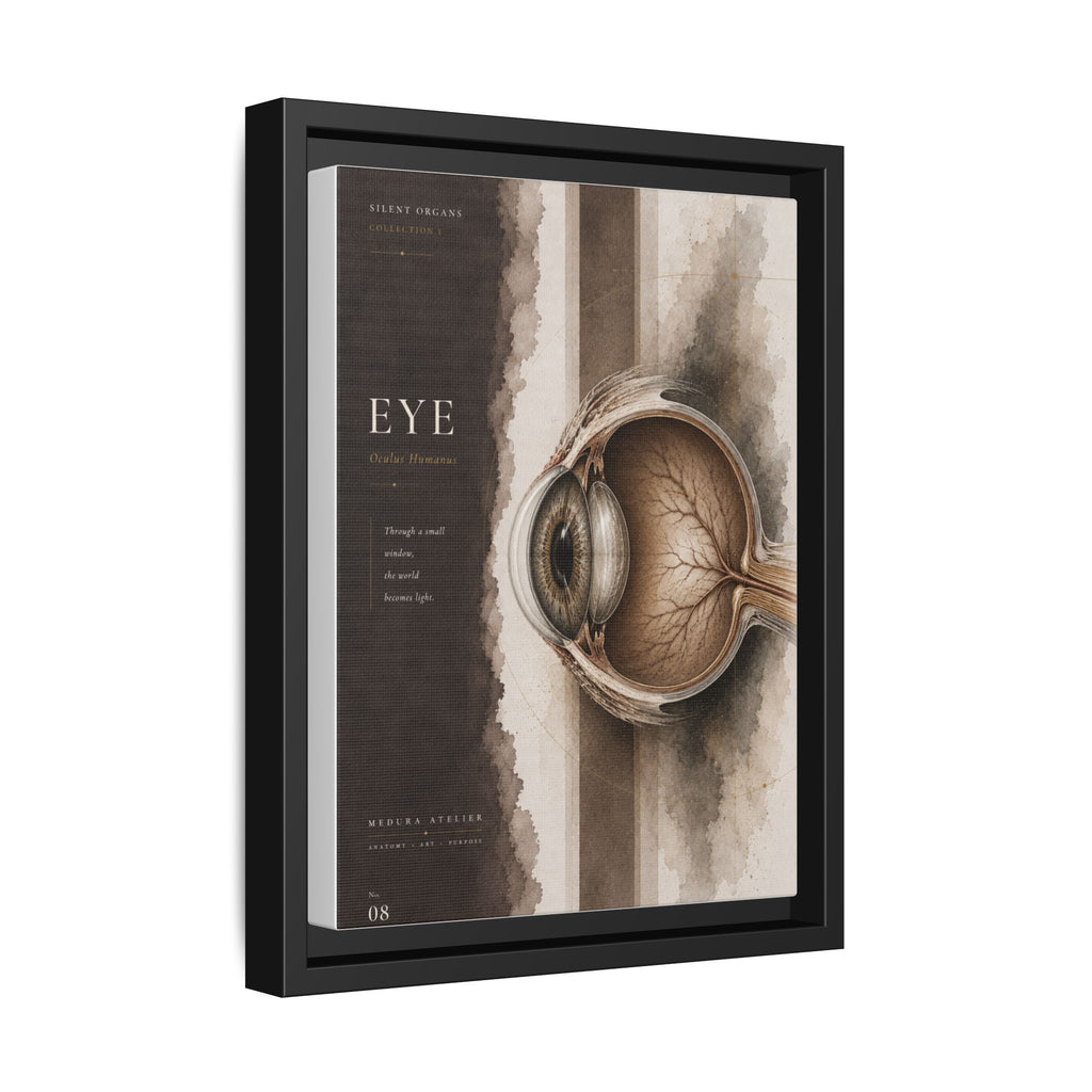 Silent Organs – Eye Wall Art | Luxury Anatomical Canvas Print | Museum-Inspired Fine Art