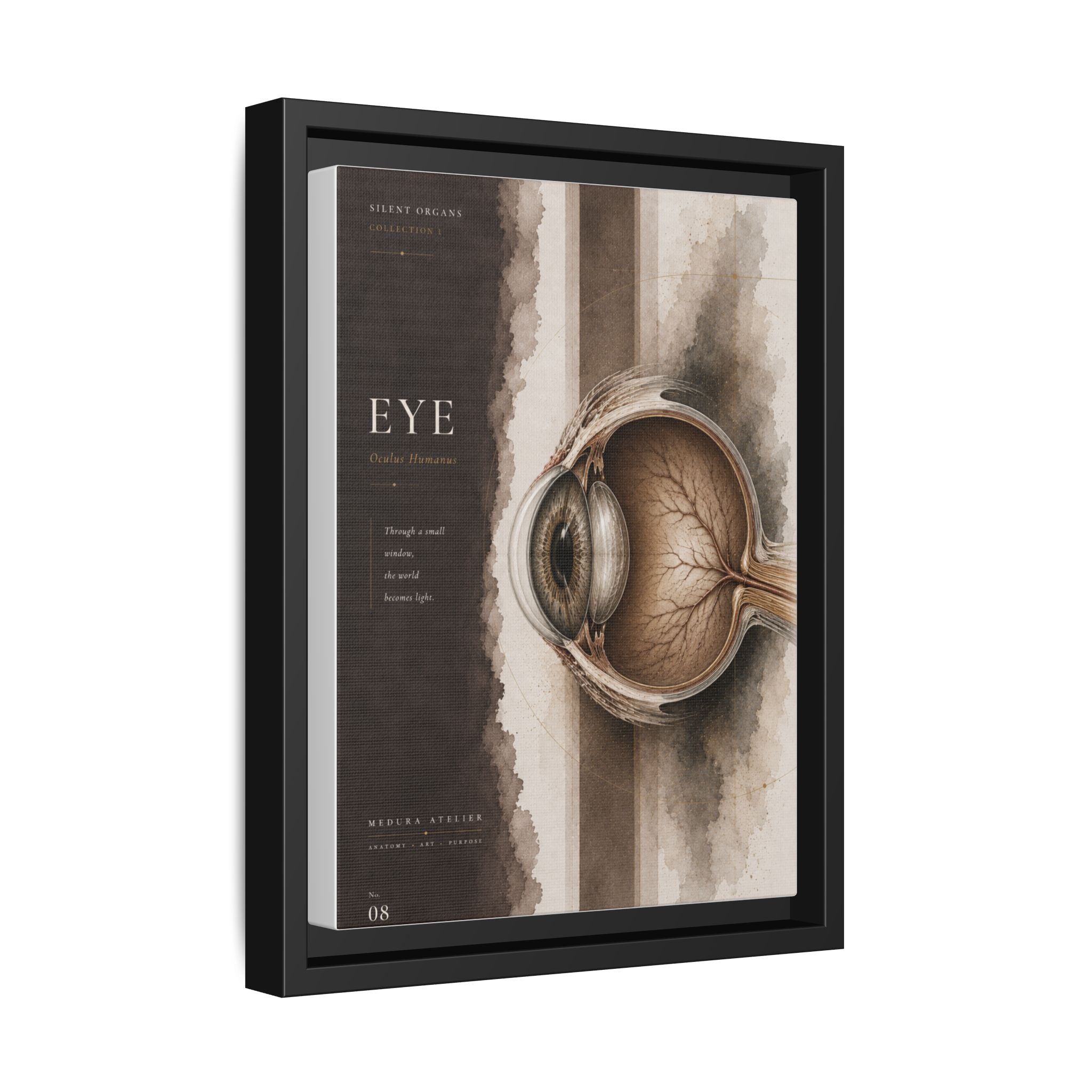 Silent Organs – Eye Wall Art | Luxury Anatomical Canvas Print | Museum-Inspired Fine Art