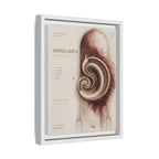 Silent Organs – Hippocampus Wall Art | Luxury Neuroscience Canvas Print | Museum-Inspired Fine Art