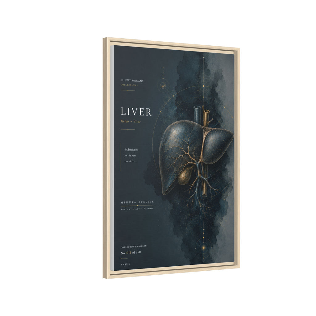 Silent Organs – Liver Wall Art | Luxury Anatomical Canvas Print | Museum-Inspired Fine Art