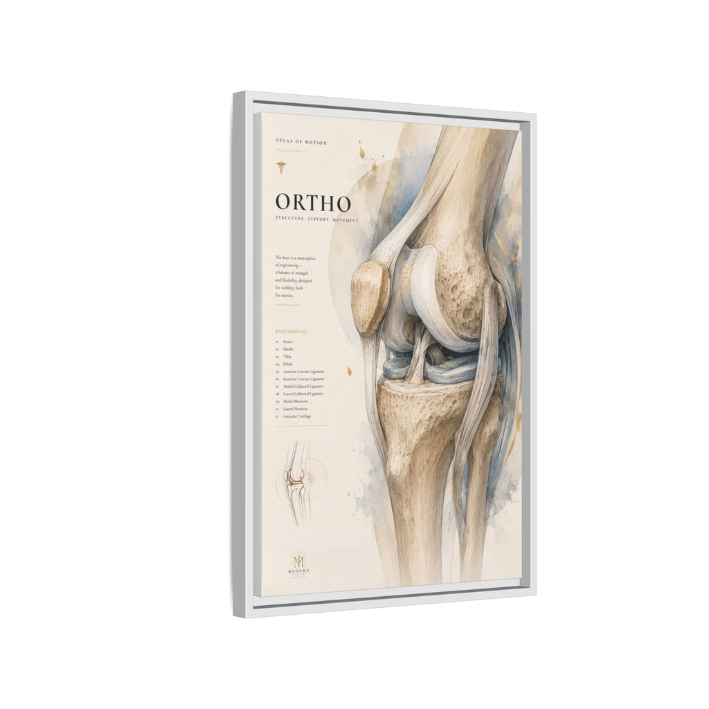 Orthopaedic Knee Anatomy Wall Art | Luxury Orthopedic Canvas Print | Museum-Inspired Fine Art