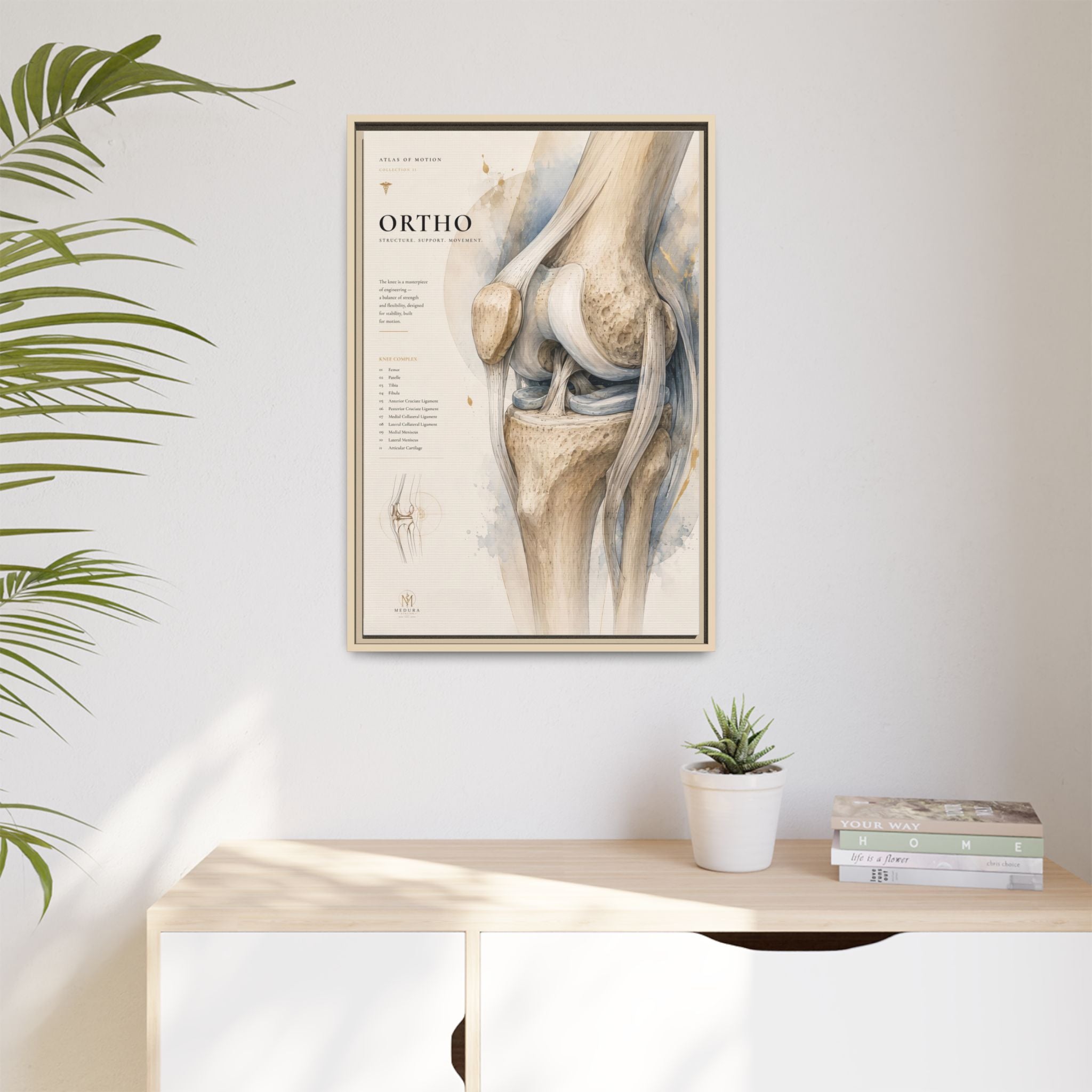 Orthopaedic Knee Anatomy Wall Art | Luxury Orthopedic Canvas Print | Museum-Inspired Fine Art