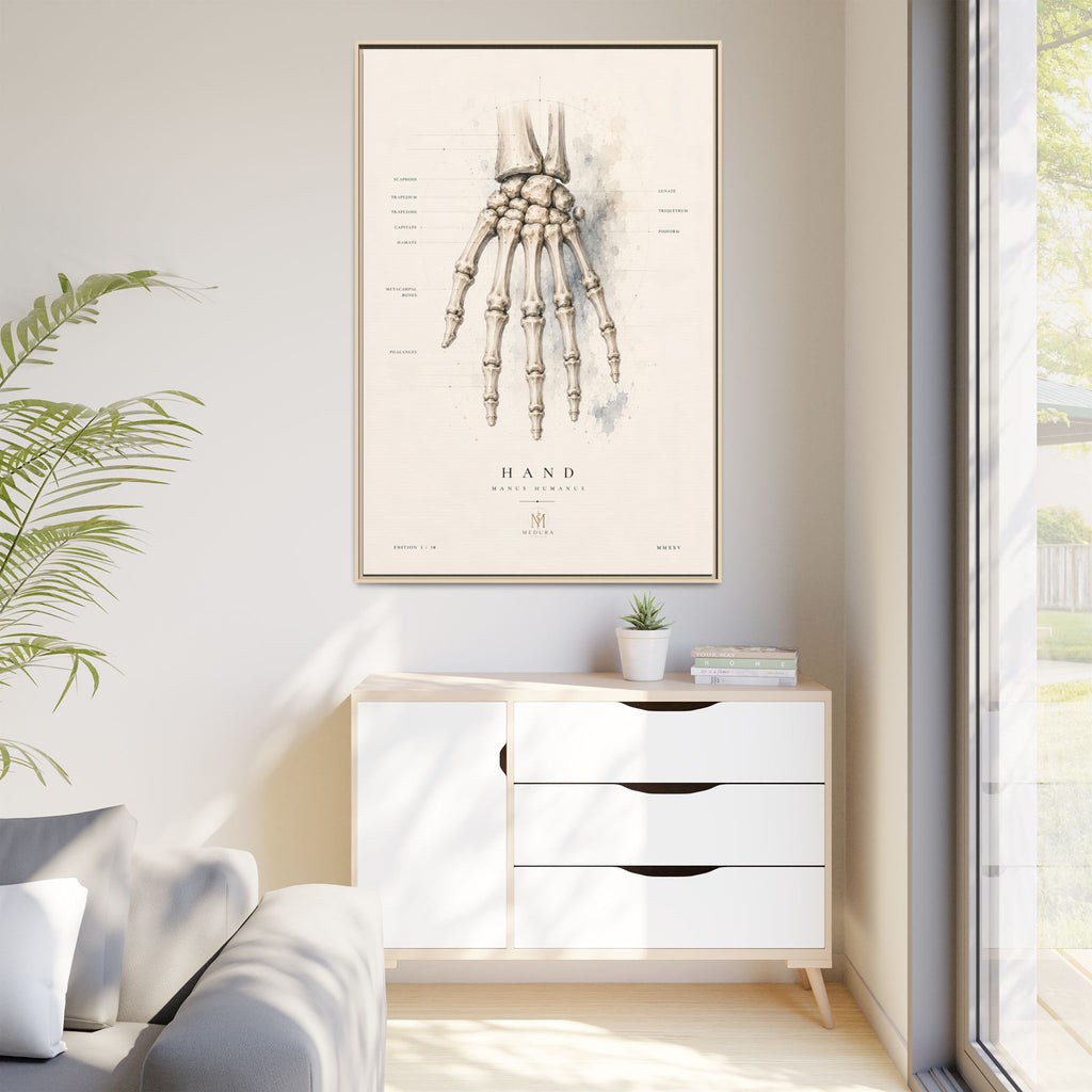 Anatomical Hand Skeleton Wall Art | Luxury Orthopaedic Canvas Print | Museum-Inspired Fine Art