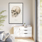 Anatomical Skull Wall Art | Luxury Medical Canvas Print | Museum-Inspired Fine Art