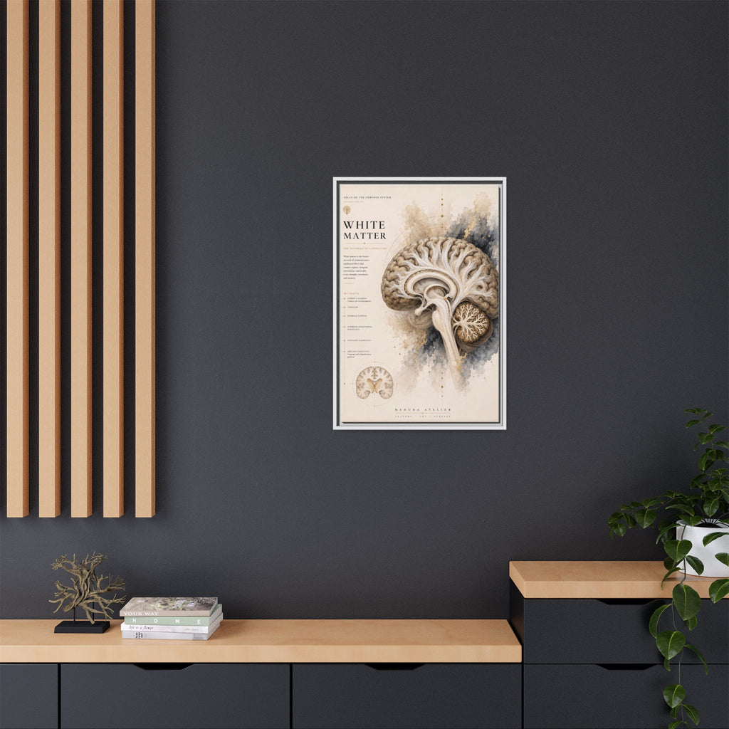 White Matter Brain Wall Art | Luxury Neuroscience Canvas Print | Museum-Inspired Fine Art