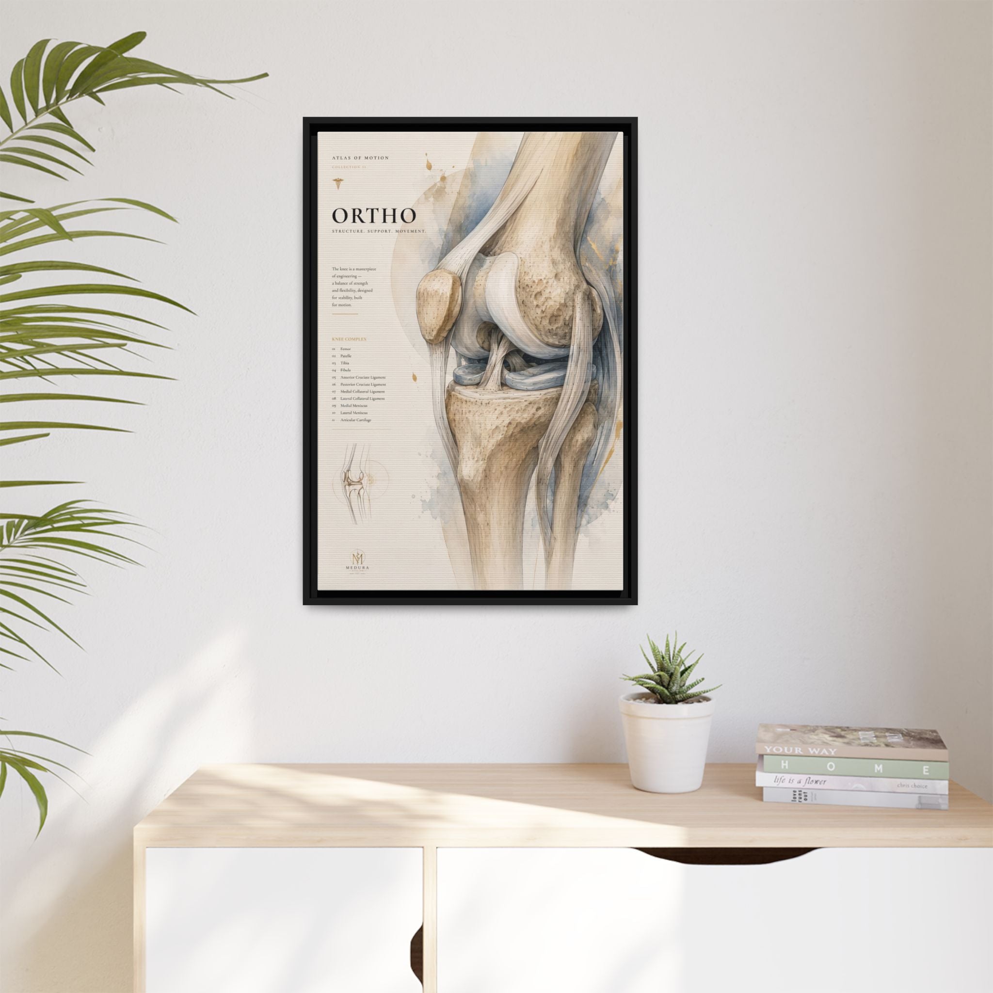 Orthopaedic Knee Anatomy Wall Art | Luxury Orthopedic Canvas Print | Museum-Inspired Fine Art