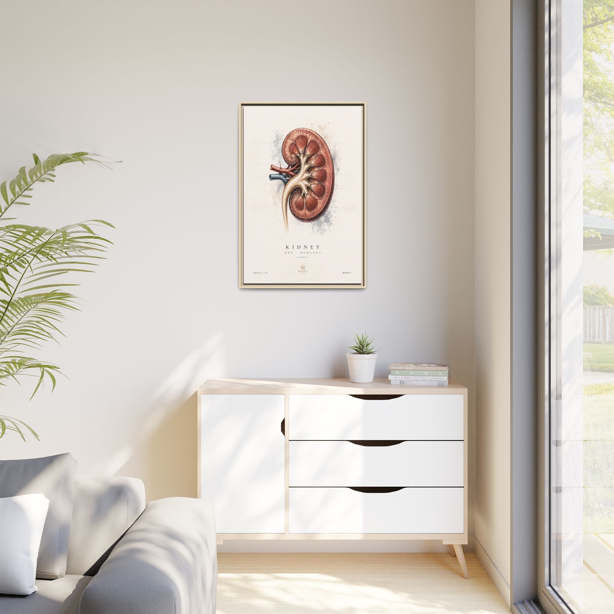 Anatomical Kidney Wall Art | Luxury Nephrology Canvas Print | Museum-Inspired Fine Art